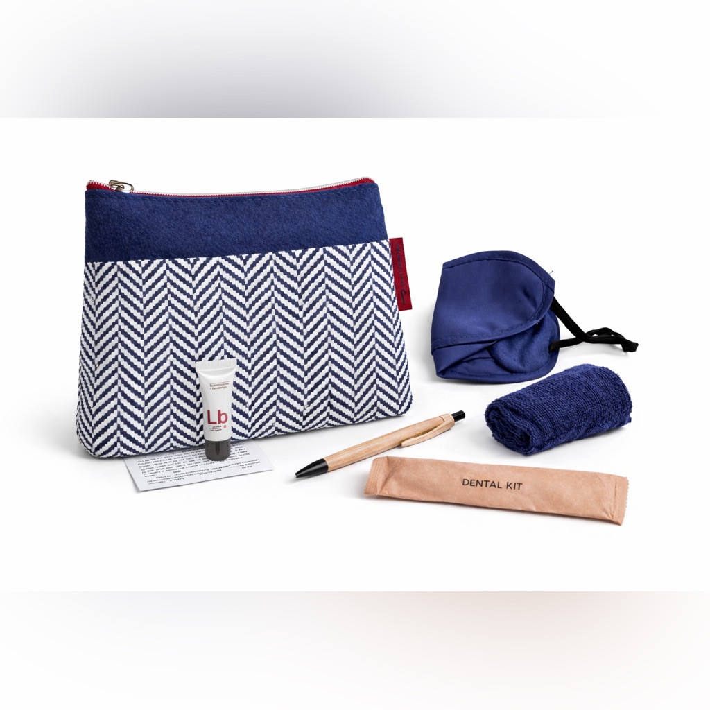 Complete Travel Amenity Kit Chevron Pouch Carry Essentials Lip Balm Mask New